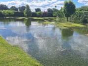 Casa con parque con frutales y cierre perimetral crateus
