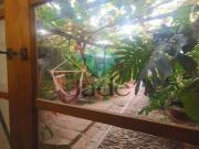 CASA CON PATIO EN VILLAFRANCA