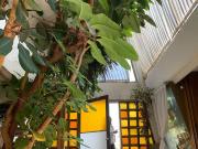 Casa con Personalidad y Potencial en Tecamachalco ?...