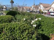 Casa con piscina y quincho en Linderos ¡Listo para habitar!