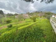 Casa con Terreno | CABANILLAS REAL ESTATE