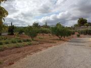Casa con terreno en alquiler El Moralet