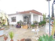 Casa con terreno en venta en Albatera, Albatera Campo