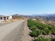 Casa con terreno en venta en Almáchar