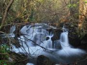 Casa con terreno en venta en Cedeira