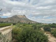 Casa con terreno en Venta en Cieza, Murcia