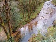 Casa con terreno en venta en Cudillero, Área de Avilés
