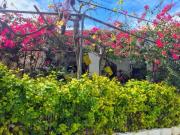 Casa con terreno en venta en Los Gallardos, Los Gallardos Casa con terreno en venta en Los Gallardos, Los Gallardos