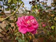 Casa con terreno en venta en Pájara, Pajara