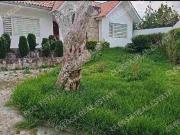Casa con terreno en venta en Roma Cuidadela Los...