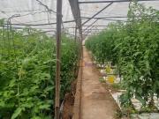 Casa con terreno en venta en Roquetas de Mar, Aguadulce...