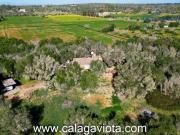 Casa con terreno en venta en Ses Salines, Ses Salines...