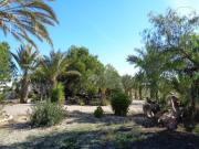 Casa con terreno en venta en Vera