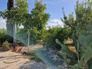 Casa con terreno en venta en Villanueva del Río Segura,...