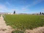 CASA CON TERRENO PARA REFORMAR EN LA HUERTA DE CALLOSA...