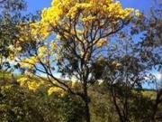 Casa de Campo Maravilhosa Condomínio Rural Joaquim...
