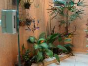 Casa Condomínio | Portal dos Bandeirantes | Lond