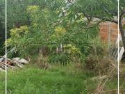 Casa, Coxilha, Santa Vitória do Palmar, RS