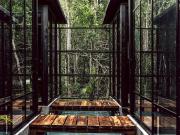 CASA CRUZ CON CENOTE PRIVADO TULUM, QUINTANA ROO