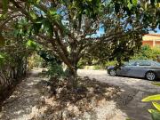 Casa de 153 m2 en venta Vinaroz, Comunidad Valenciana