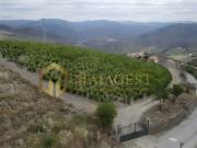 Casa de 185 m² à venda São João da Pesqueira, Portugal