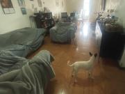 Casa De 1 Piso En Venta De 4 Dorm, 2 Baños 1 Est En Rancagua