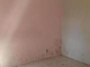 Casa de 250 m², 4 quartos em Jardim Vila Carrão, São Paulo