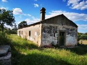 Casa de 256 m² à venda Castelo Branco