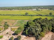 Casa de 335 m² à venda Melides, Setúbal