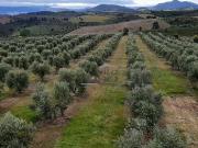 Casa de 350 m² à venda Mirandela, Portugal