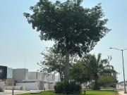 casa de 4 recamaras en privada residencial con seguridad...