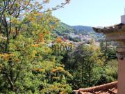 Casa de 900 m² à venda Centro Santa Maria e Sao Miguel,...