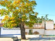 Casa de aldeia em ruina com projeto de arquitetura para...