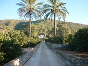 Casa de alto standing de 596 m2 en venta Canals,...