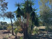 Casa de alto standing en venta Córdoba, España