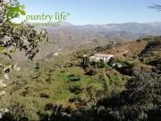 Casa de alto standing en venta Málaga, España