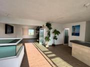 CASA DE AUTOR REMODELADA EN RENTA Y VENTA DRAMATURGOS,...