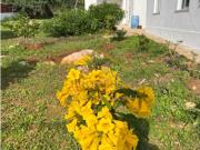 Casas de campo T2 + T1 em Santo Estevão, Tavira