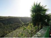 Casa de campo con terreno y frutales