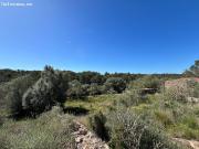 Casa de Campo de 180m2 para reformar en Llucmajor