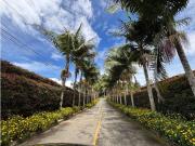 Casa de campo de alto standing de 3 dormitorios en venta...