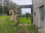 Casa de Campo em Seixo da Beira de 166 m²