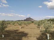 Casa de campo en Antequera