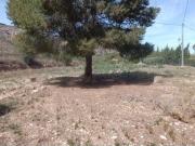 Casa de Campo en Aspe