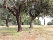 Casa de campo en Badajoz
