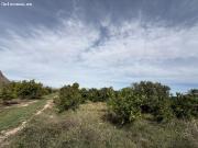 Casa de campo en Callosa de Segura