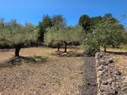 Casa de campo en El Perello