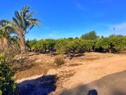 Casa de campo en Elche pedanias
