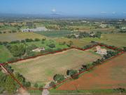 Casa de campo en Felanitx
