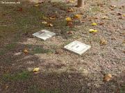 Casa de campo en Jalon